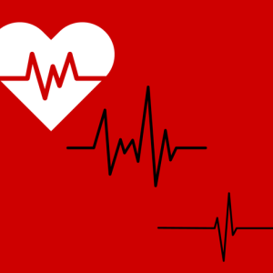 Medical Assistant Workshop